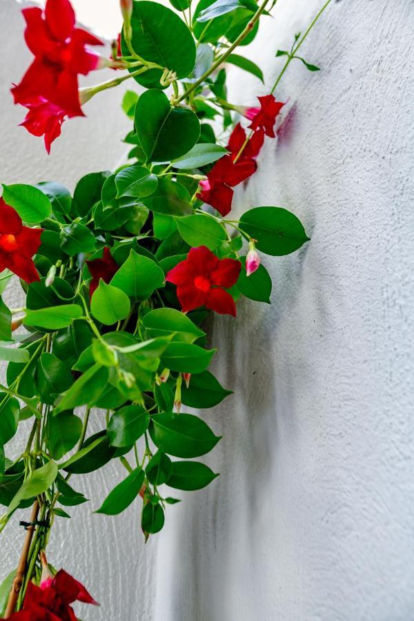 Antonella Home B&B Bari Exteriér fotografie